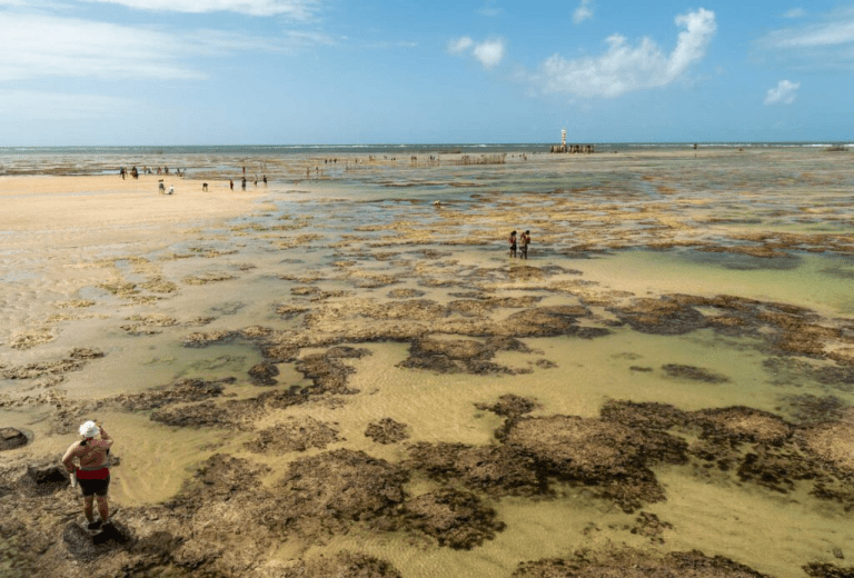 Navigating Brazil’s Evolving Airline Landscape: What Travelers Need to Know