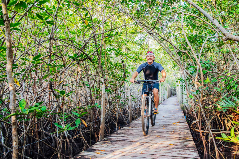 Previsao do Tempo SP: Deep Analysis for São Paulo Travel Planning