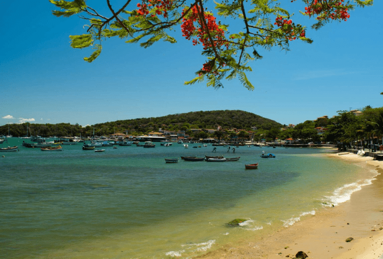 chaos Travel Brazil: Understanding the Chaos in Travel Brazil: Impac