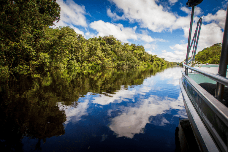 Mega Sena 2982 and Brazil Travel: A Deep Analytical Look