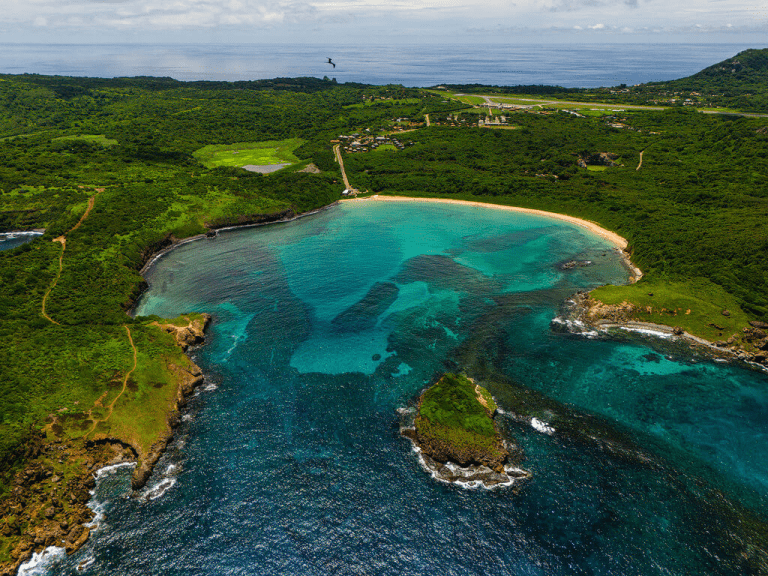 Denver Nuggets Travel Update: Watch Options and Visit Tips